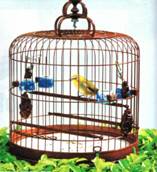 Truc et astuce pour vos animaux domestiques