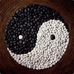 Pièce par pièce, vivez feng shui
