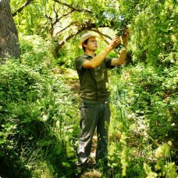 Lutter naturellement contre les mauvaises herbes