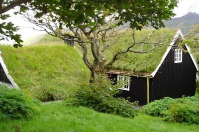 Comment végétaliser sa toiture de maison ?